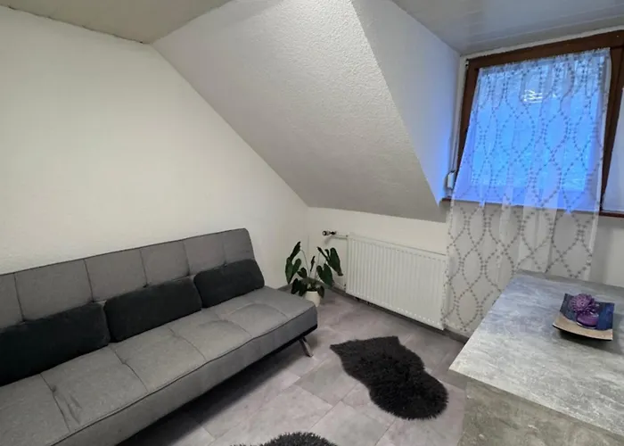 4 Denis 3 אוברווסל